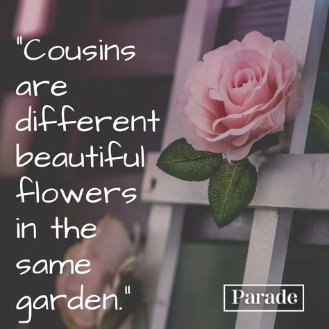 Cute Cousin Quotes, Best Cousin Quotes, Bond Quotes, Special Friend Quotes, Wow Words, Cousin Quotes, Cousin Love, Crocus Flower, Health Life