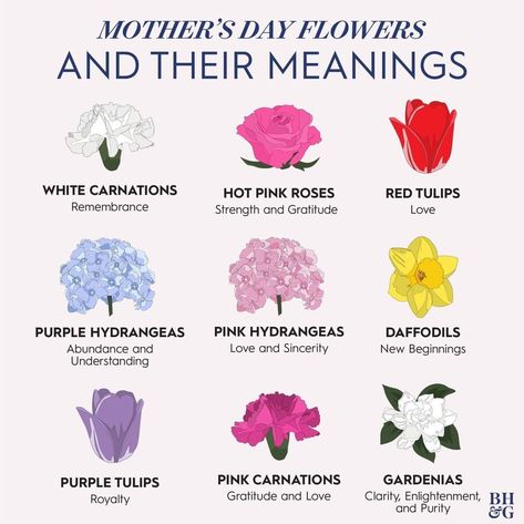 @socooldesigns posted to Instagram: Happy Mothers Day!  Better Homes & Gardens (@betterhomesandgardens) on Instagram: “Fill Mom's bouquet with the flowers that represent how you really feel. 💗 Tap the link in our bio…”  #mothersdayflowers #happymothersdaytoall Flowers Meanings, Flowers Chart, Flower Facts, What Colors Represent, Small Wave Tattoo, Mother's Day Bouquet, Hot Pink Roses, Flower Guide, Hydrangea Purple