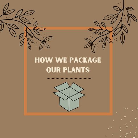 A plant being packed in Kraft paper. How To Ship Plants In The Mail, Fun Mail, Plant Box, Handmade Packaging, Shipping Plants, Live Plants, Follow Us, To Learn, Packaging