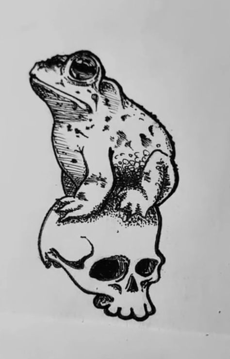 Frog Sketch, Drawing Themes, Skin Drawing, Frog Tattoos, Frog Drawing, Drawing Bag, Frog And Toad, Mural Art, Toad