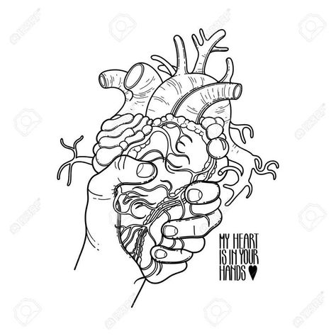 A Heart Drawing, Hand Grabbing, Heart Drawing, Clip Arts, Human Heart, T Shirt Image, Ap Art, Coloring Book Pages, Graphic Image