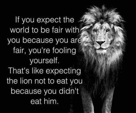 Don't expect the world to be fair. Be prepared. Fair Quotes, Lion Quotes, Doing Me Quotes, Inspirational Sayings, Short Inspirational Quotes, Knowledge And Wisdom, Leadership Quotes, Tomorrow Will Be Better, Inspirational Thoughts