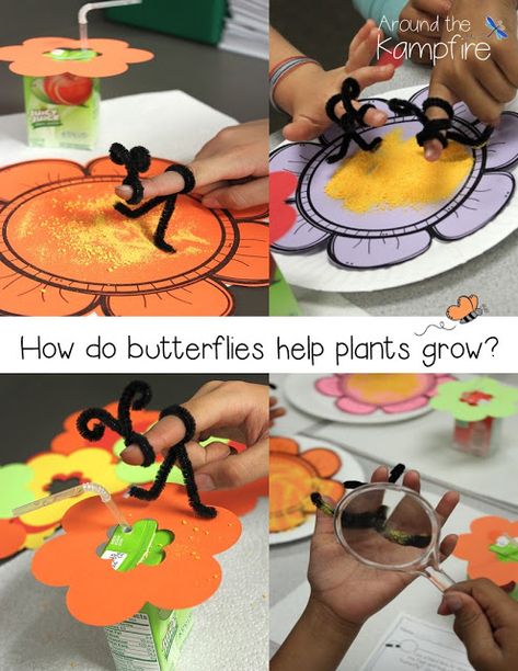 Butterfly Pollination Activity, Butterfly Unit Preschool, Pollinators For Kids, Mac And Cheese Powder, Butterfly Math Activities, Butterfly Science Activities, Math And Science Activities, Pollination Activity, Help Plants Grow