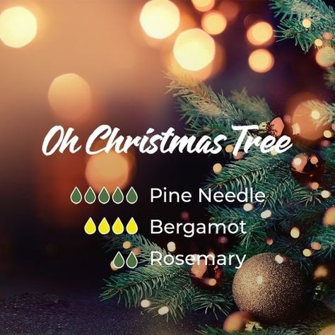 Christmas Tree Diffuser Blend, Christmas Tree Essential Oil, Diy Diffuser, Christmas Diffuser Blends, Best Essential Oil Diffuser, Pine Essential Oil, Essential Oil Diffuser Blends Recipes, Essential Oil Diffuser Recipes, Oil Diffuser Recipes