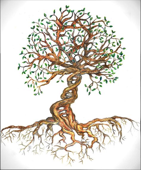 Dna Tree Of Life, Dna Drawing, Dna Tree, Roots Tattoo, Tree Of Life Artwork, Dna Art, Dna Tattoo, Tree Tattoo Designs, Tree Of Life Art