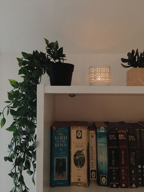 Lord Of The Rings Inspired Home, Lord Of The Rings Room, Bookshelf Plants, Hobbit Room, Candles Diy, Books Bookshelf, Fantasy Decor, Sophomore Year, Book Decor