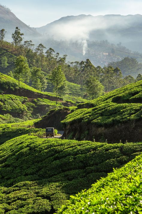 India Trekking, India Himalayas, Mountains India, Mountains In India, Himalayas India, India Landscape, Mythical Horses, India Vacation, I Am Light