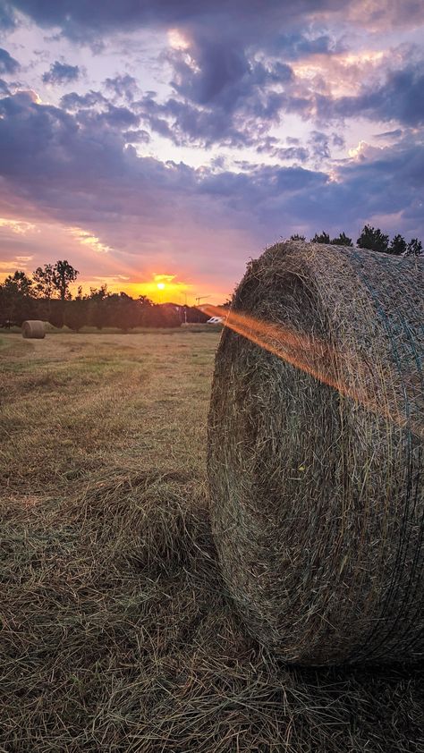 When the sun goes down on a bale of hay Bale Of Hay, Bales Of Hay, Hay Bales, Ray Of Sunshine, Sun Goes Down, The Sun, Sun