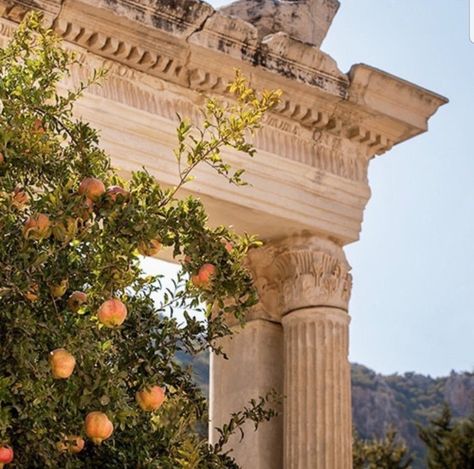 Catalina Martin, Ancient Greece Aesthetic, Art Amour, Greece Vacation, Love Marriage, Orange Tree, Summer Vintage, Acropolis, Italian Summer