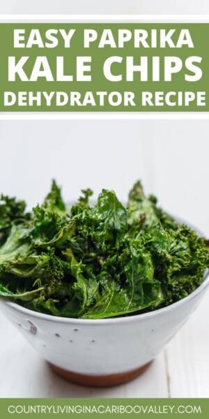 Dehydrated Kale Chips Recipe - Country Living in a Cariboo Valley Dehydrated Kale, Dehydrated Kale Chips, Health Benefits Of Kale, Healthy Kale Chips, Benefits Of Kale, Homemade Kale Chips, Kale Benefits Health, Kale Chips Recipe, Canned Salsa Recipes