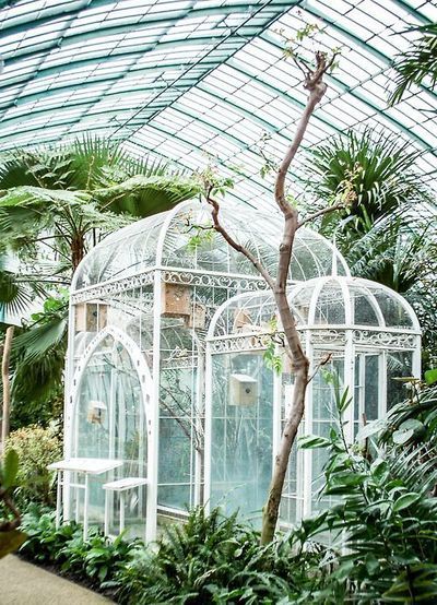 All of the conservatories and greenhouses in this collection are beautiful. Conservatory Greenhouse, Cottage Gardens, Garden Greenhouse, Greenhouse Gardening, Pergola Patio, Nature Flowers, Bird Cages, Garden Cottage, Glass House