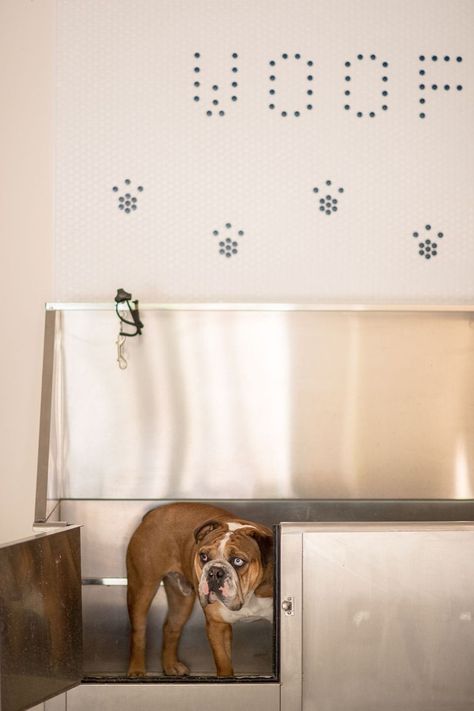 We know how hard it is to take the pups to the groomers, so why not add a dog spa to your garage?! Bedroom En Suite, Dog Spa, Cleveland Heights, Dog Cafe, Pet Spa, Spa Interior, Mudroom Design, Dog Wash, Dog Bath