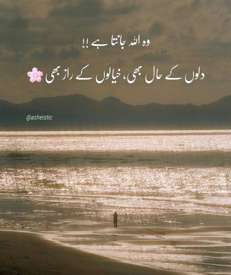 Instagram Quotes About Life, Quotes About Life In Urdu, Motivational Quotes In Urdu, Inspirational Quotes In Urdu, Quotes In Urdu, Lines Quotes, Urdu Love Words, True Feelings Quotes, Poetry Quotes In Urdu