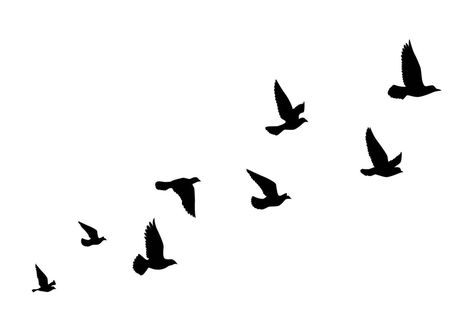 Doves Flying Drawing, Bird Shiloutte, Birds Flying Tattoo Design, Dove In Flight Tattoo, Bird Shilloute Flying, Birds In Flight Art, Birds Silhouette Tattoo, Bird Silohette, Bird Sillhoute