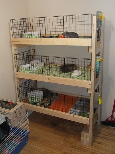 Indoor Guinea Pig Cage, Rabbit Houses, Diy Guinea Pig Cage, Pig Ideas, Guinea Pig Cages, Guinea Pig Diy, Guinea Pig Hutch, Guinea Pig House, Pig Stuff