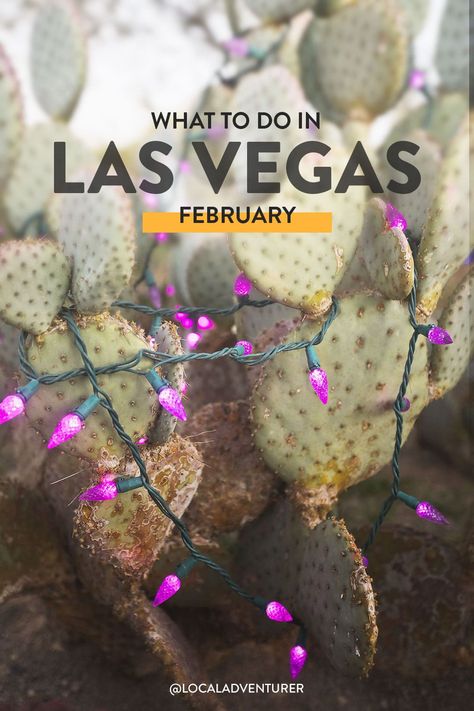 Las Vegas In February, Vegas In February, What To Pack For Las Vegas, Things To Do In March, Las Vegas Trip Planning, Vegas Trip Planning, Things To Do In Vegas, Las Vagas, Vegas Birthday