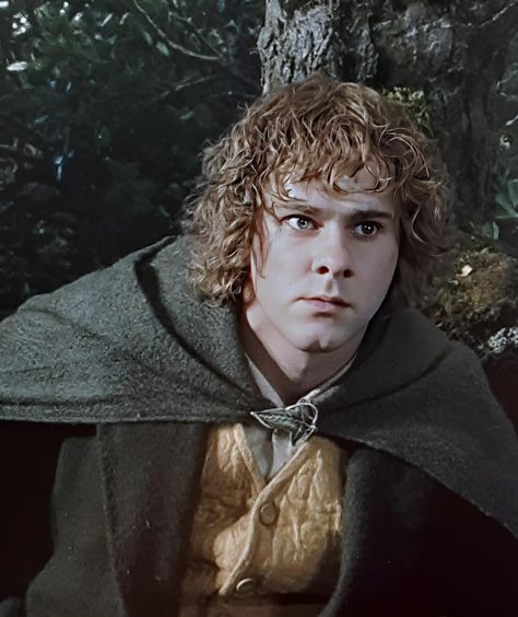 Merry Lotr, Merry Brandybuck, Dominic Monaghan, The Flying Nun, Merry And Pippin, Lotr Cast, Samwise Gamgee, Hobbit An Unexpected Journey, One Does Not Simply