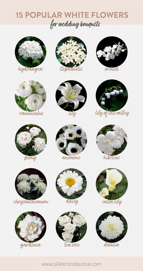 15 Popular White Wedding Flowers - Silk Stem Collective White Flowers With Names, Wedding Flowers List, Flowers List, Flowers September, Flowers With Names, Flower List, Wedding Flower Types, Expensive Flowers, Hydrangea Centerpiece