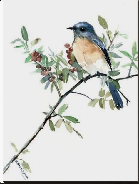 Blue Bird Art, Hummingbird Art, Bird Painting, Bird Artwork, 수채화 그림, Watercolor Bird, Bluebird, Birds Painting, Bird Art