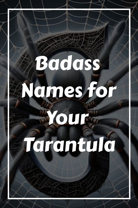 Welcome to our extensive guide on “Top 1200 Tarantula Names”! If you’re a tarantula enthusiast searching for the perfect name for your eight-legged companion, you’ve come to the right place. Our comprehensive list offers a Brazilian Black Tarantula, Spider Names, Tarantula Aesthetic, Edgy Names, Scandinavian Names, Badass Names, Pet Tarantula, Literary Names, Regal Names