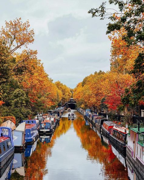 @ThisIsLondon on Instagram: “Little Venice is by far one of the most magical spots to see the seasons change!🍁🛶⁣ ⁣ 📸@ananewyork⁣ ⁣ ⁣ #visitlondon #lovegreatbritain…” Little Venice London, London Sightseeing, London Castles, Greenwich Park, London Christmas, Things To Do In London, Visit London, London Photography, Paris Hotels