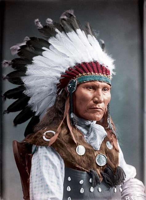 Peace Life, Sitting Bull, Native American Images, Native American Chief, Native American Men, Native American Pictures, Wilde Westen, Colorized Photos, Native American Artwork