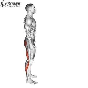 How to Standing Hamstring Stretch Hamstrings Exercises, Best Calf Exercises, Leg Stretches, Standing Calf Raise, Free Workout Plans, Hip Exercises, Hamstring Muscles, Calf Exercises, Quad Stretch