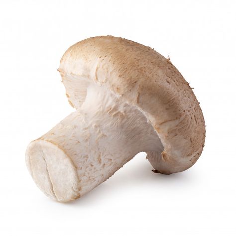 Premium Photo | Shiitake mushrooms isolated on the white background Mushroom Png, Brown Plates, Clear Soup, Shiitake Mushrooms, Portobello Mushroom, Shiitake Mushroom, Beautiful Bowls, Spring Onion, Portobello