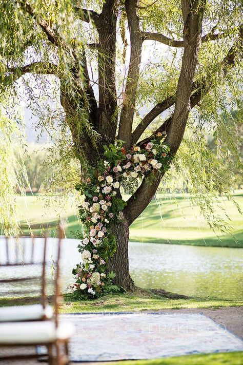 Broadmoor Wedding, Under A Willow Tree, Tree Wedding Ceremony, Hobbit Wedding, Willow Tree Wedding, Wedding Tree Decorations, A Willow Tree, Colorado Destination Wedding, Wedding Ceremony Decor