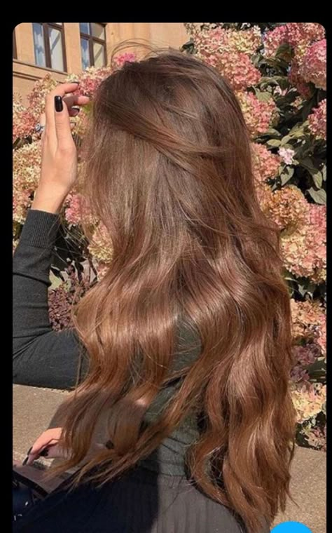 Hip Length Hair, Light Brunette Hair, Rambut Brunette, Global Hair, Beige Hair, Korean Hair Color, Honey Brown Hair, Brown Hair Looks, Hair Color Auburn