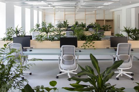 Planisware Offices - Munich Green Office Design, Plant Office Design, Office Open Plan, Open Office Design, Natural Office, Open Space Office, Office Design Inspiration, Corporate Office Design, Green Office