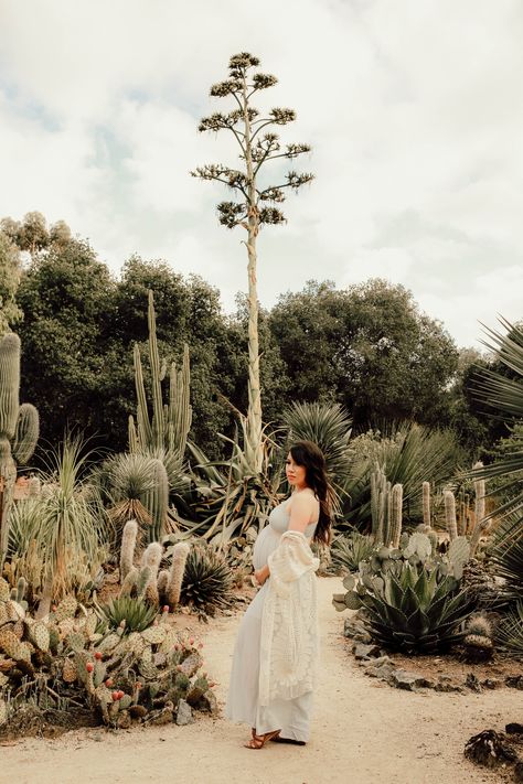 Arizona Cactus Garden Stanford, Arizona Cactus Garden, Arizona Cactus, Baby Bump Photos, Bump Photos, Baby Pics, Cactus Garden, Maternity Photoshoot, Maternity Shoot