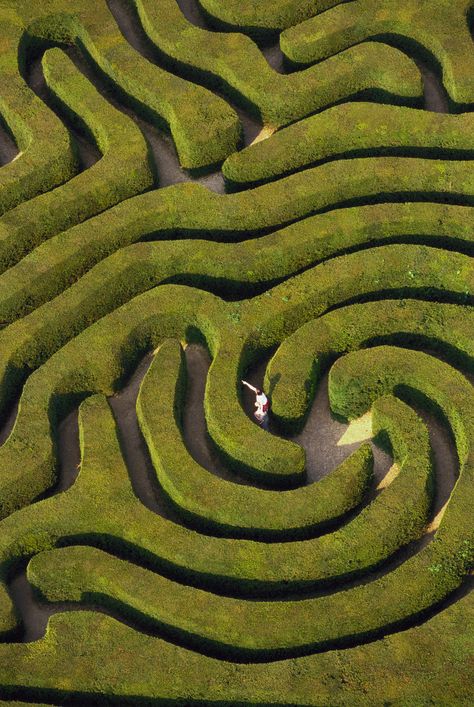 Get Lost in a Maze Maze Aesthetic, Second Date Ideas, Maze Art, Garden Maze, Color Cube, Second Date, Sustainable Supply Chain, Outdoor Aesthetic, Dinner And A Movie