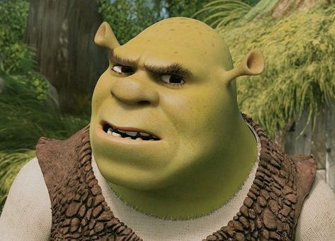 AESTHETIC!!!!!!! Confused Face, Shrek