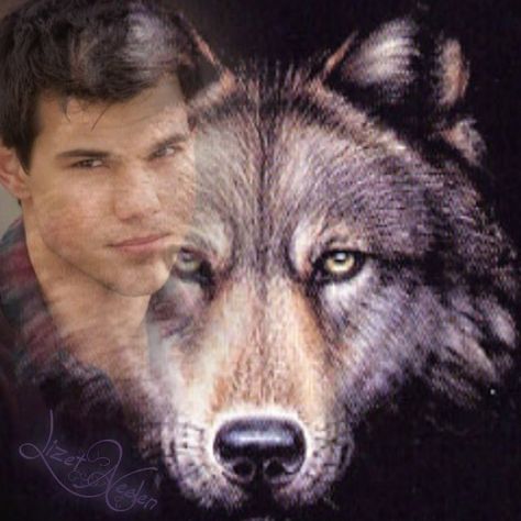 Team Jacob Twilight, Quileute Tribe, Twilight Wolf Pack, Jacob Twilight, Jacob Black Twilight, Jacob And Bella, Wolf Meme, Twilight Jacob, Twilight Pics