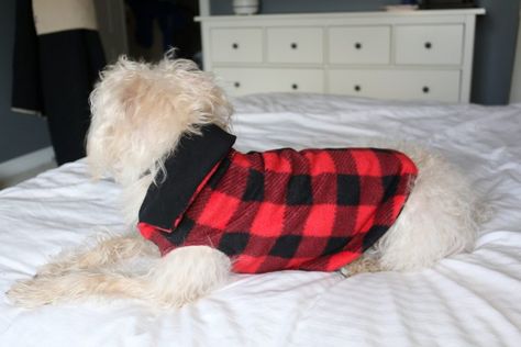 DIY Puppy Jacket Dog Jacket Diy, Sew Dog Clothes, Dog Shirt Pattern, Diy Dog Sweater, Big Dog Clothes, Puppy Jacket, Dog Coat Pattern, Fleece Dog Coat, Dog Clothes Diy