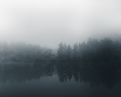 Foggy 🌫️ morning at Lacamas Lake. Foggy Lake Aesthetic, Foggy Wallpaper, Foggy Painting, Foggy Aesthetic, Alice Palmer, Dark Lake, Foggy Lake, Foggy Landscape, Background Tree