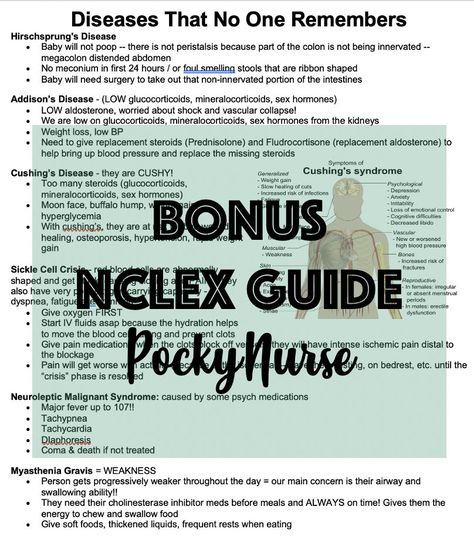 This is a **Digital Downloadable .PDF file** Comprehensive study guide of MUST KNOW study topics for passing 2022 NCLEX-RN.  What You'll Get:  - {37} PDF pages of nursing references, test taking strategies, important lab values, graphics, helpful mnemonics, and more to help equip you with the foundational knowledge to pass the NCLEX!! Make sure that you know the information on this guide before doing your own practice questions for the exam.  **BONUS**  - Extra PDF study guide of additional {35} Nclex Study Guide, Nclex Review, Study Topics, Nclex Study, Addisons Disease, Test Taking Strategies, Lab Values, Nursing School Survival, Nursing School Tips