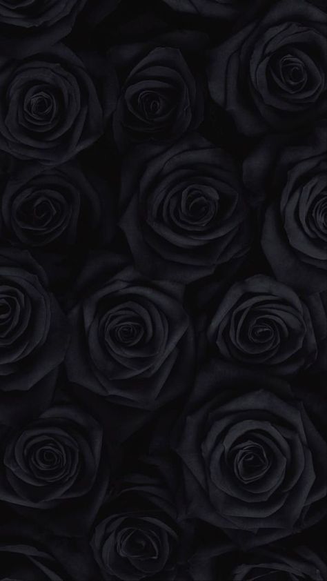 Obsidian Aesthetic, Black Magic Roses, Blvck Paris, Black Roses Wallpaper, Dark Red Roses, Gothic Wallpaper, Phone Screen Wallpaper, Black Roses, Dark Phone Wallpapers