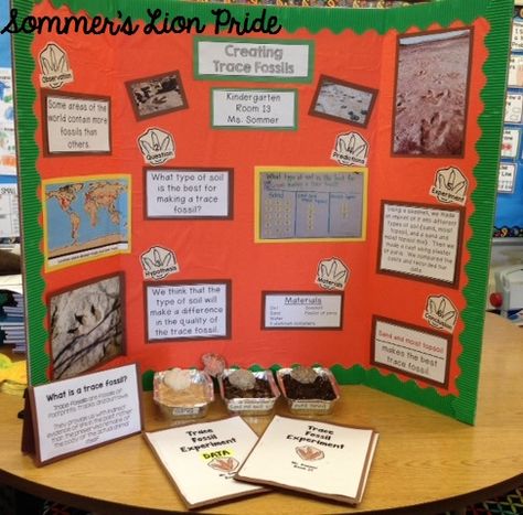 Sommer's Lion Pride: Science Fair 2016 - What type of soil is the best for creating a fossil? science project Stem Fair Projects, Science Fair Topics, Cool Science Experiments For Kids, Kindergarten Science Projects, Fossils Activities, Cool Science Projects, Stem Activities Preschool, Cool Experiments, 1st Grade Science