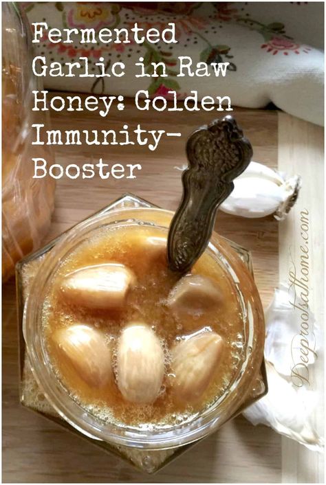 Honey And Garlic Remedy Benefits, Fermented Garlic Honey Uses, Garlic Honey Mason Jar, Honey Antibiotic Natural Remedies, Fermented Honey Garlic Recipes, Garlic And Honey Remedy Benefits, Benefits Of Garlic And Honey, Garlic Honey Medicine Benefits, Fermented Garlic Honey Benefits