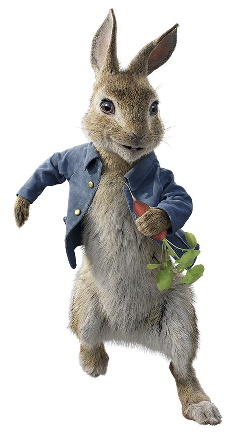 Peter Rabbit/Gallery | Sony Pictures Animation Wiki | Fandom Famous Rabbits, Rabbits Photography, Peter Bunny, Peter Rabbit Wallpaper, Peter Rabbit Pictures, Peter Rabbit Movie, Peter Rabbit Illustration, Peter Rabbit Characters, Peter The Rabbit