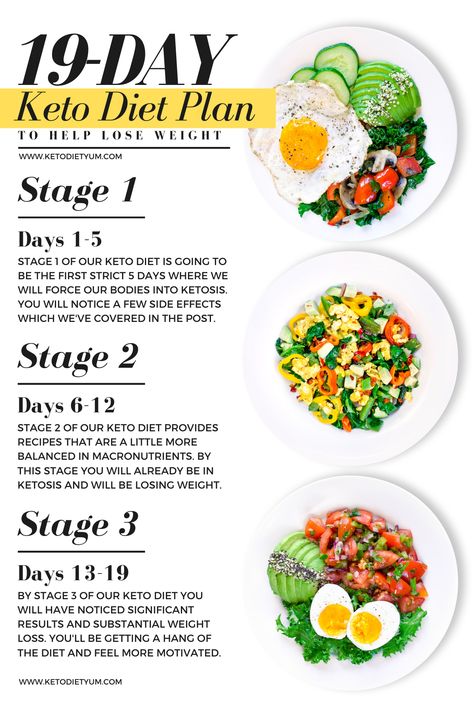 Looking for a simple, easy ketogenic diet meal plan to start? Here's a 19-day low-carb keto diet plan with recipes, tips and tricks to help you reach ketosis, lose weight and burn fat in 1 week. Keto Quiche, Program Diet, Keto Lasagna, Resep Diet, Keto Pancakes, Keto Brownies, Ketogenic Diet For Beginners, Ketogenic Diet Meal Plan, Ketogenic Diet Plan