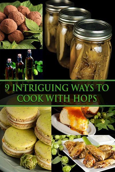 What To Do With Fresh Hops, How To Use Hops, Hops Recipes, Hop Recipes, Flowers Recipes, Plant Recipes, Best Chicken Marinade, Hops Plant, Flavored Beer