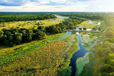 Okavango Delta | Botswana Tourism Organisation Botswana Tourism, Magical Locations, Okavango Delta Botswana, Okavango Delta, Fan Palm, Unesco World Heritage Site, Unesco World Heritage, Botswana, Heritage Site