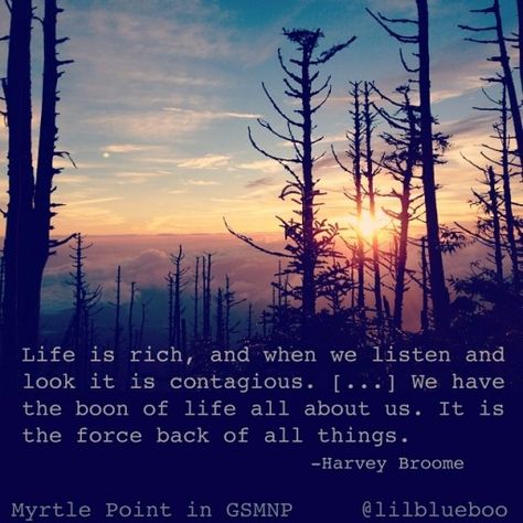 Life is Rich quote by Harold Broome - Great Smoky Mountains National Park - Mt LeConte and Lodge Smoky Mountains Quotes, Hills Quotes Nature, Mountain Top Quotes, Quotes On Mountains Nature, Quotes On Hills And Mountains, Rich Quotes, Mountain Quotes, Yoga Body, Great Smoky Mountains National Park