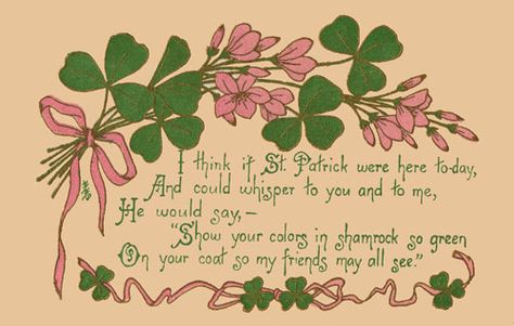 Show Your Colors Post Cards Vintage, Shamrock Plant, Vintage Shamrock, St Patricks Day Cards, Irish Quotes, Seasons Art, St Paddys Day, Paddys Day, Happy St Patricks Day