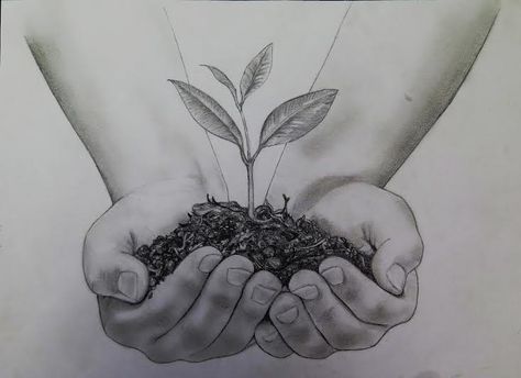 #artwork by Briana Turnbull #growth #plant #hands Plant Growth Drawing, Flowers Growing Out Of Hand Drawing, Flower Growing Through Concrete Drawing, Flower With Roots Drawing, Growth Artwork, Poem Layout, Seed Growing Illustration Art, Ash Drawing, Plant Roots Illustration