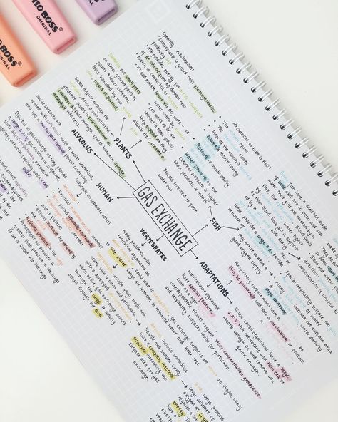 Made this mindmap and I’m not quite sure about how it turned out because I used so many colours😂😩trynna condense all the AS topics as much as I can. I’ve set Tuesday mornings and Friday afternoons as my AS revision time, so I actually get some done!  #studywithzoe #studygram #studyspo #alevels #revision Revision Motivation, College Notes, Chemistry Notes, School Organization Notes, Biology Notes, Notes Organization, Pretty Notes, Notes Inspiration, College Study