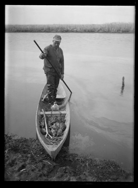 How nutria took over Louisiana, and what locals have done to stop them | The Historic New Orleans Collection Traditional Bowhunting, Fred Bear, Bear Archery, Canoe Building, Crossbow Hunting, Bowhunting, Traditional Archery, Digital Museum, Canadian History